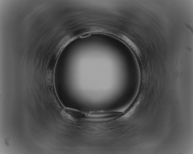 X0000093441001200710121329