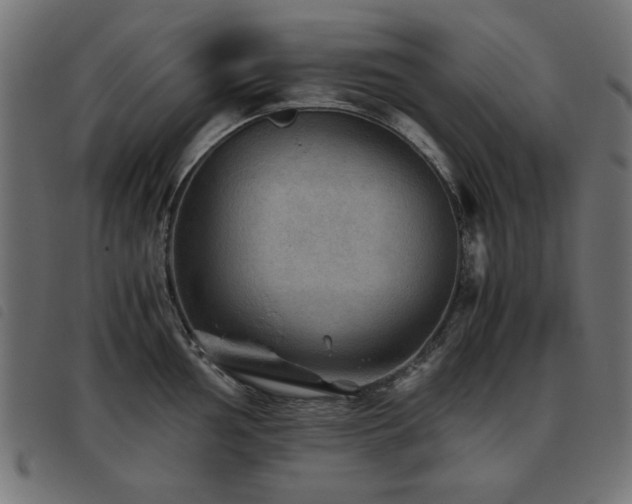 X0000093441002200710121329