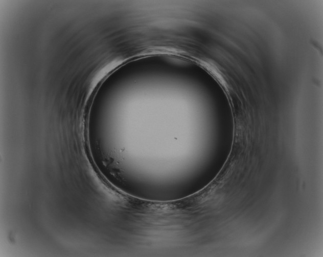 X0000093441003200710121329