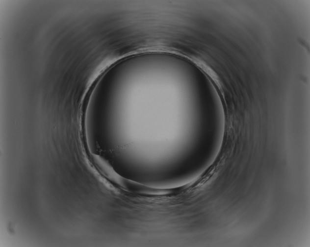 X0000093441005200710121329