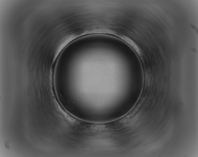 X0000093441006200710121329