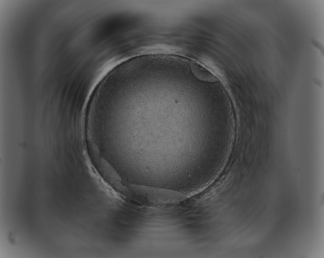 X0000093441008200710121329