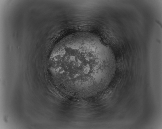 X0000093441009200710121328