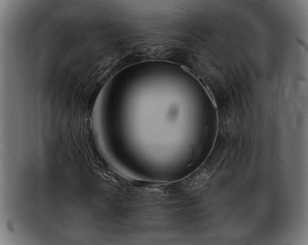X0000093441010200710121328