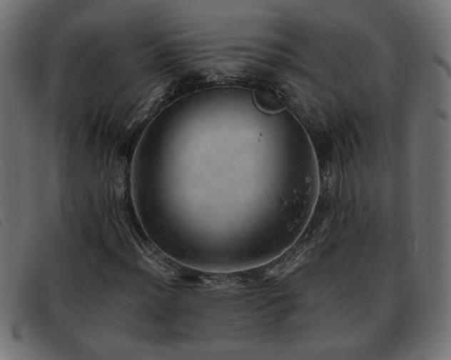 X0000093441012200710121328