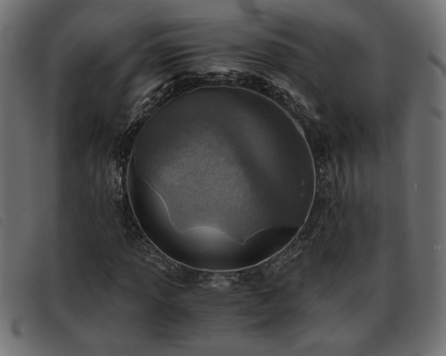 X0000093441013200710121328