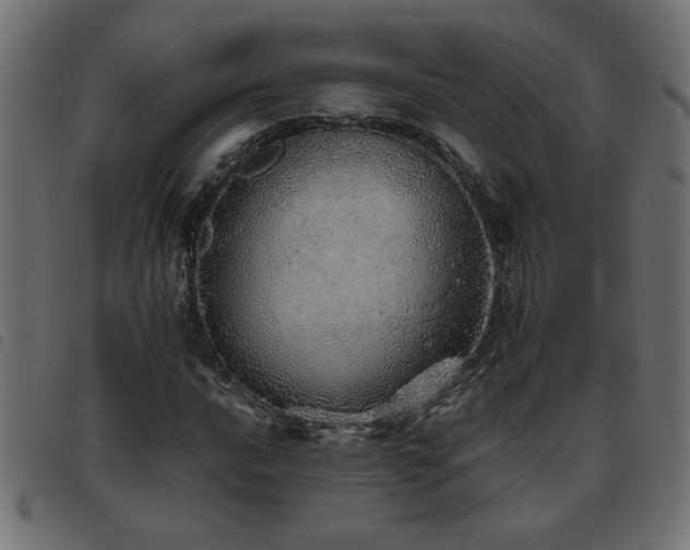X0000093441016200710121328
