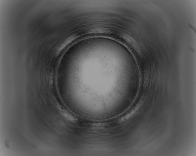 X0000093441017200710121328