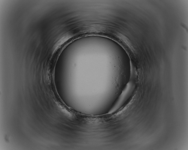 X0000093441018200710121328