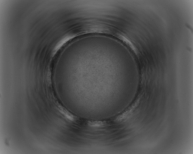 X0000093441019200710121328
