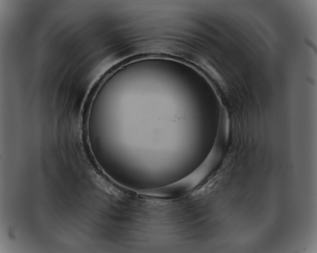 X0000093441020200710121328