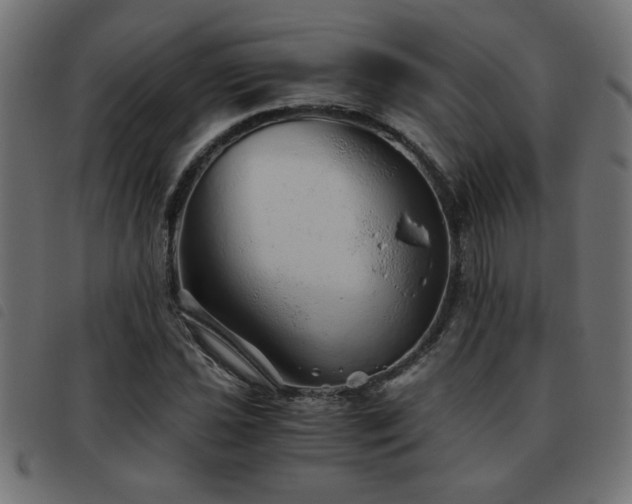 X0000093441021200710121328