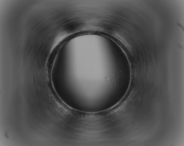 X0000093441022200710121328