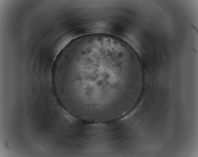 X0000093441023200710121328