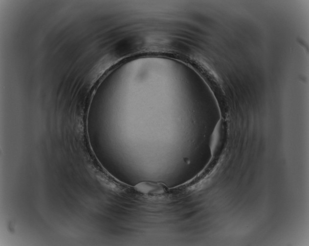 X0000093441025200710121328