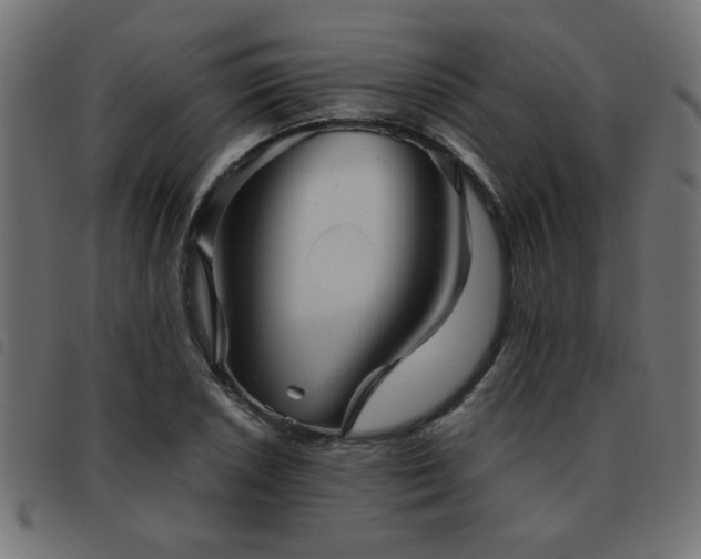 X0000093441026200710121328