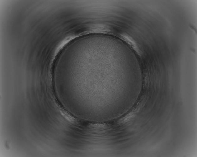 X0000093441027200710121328