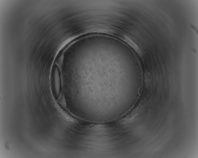 X0000093441028200710121329