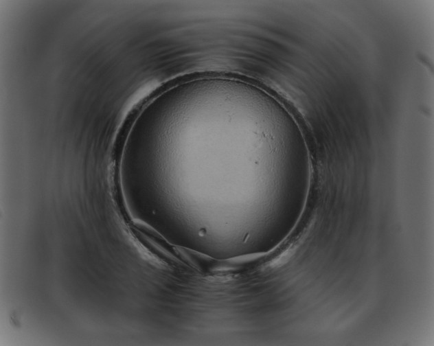 X0000093441029200710121329