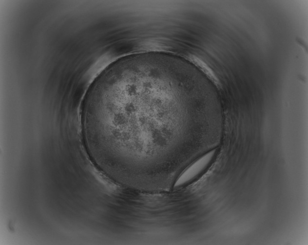 X0000093441031200710121329