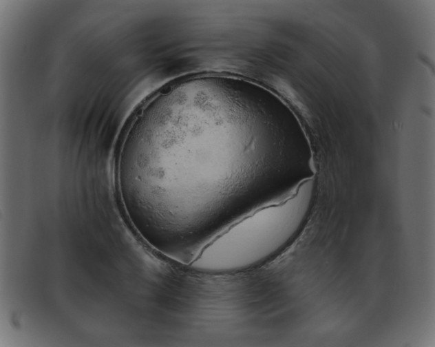 X0000093441032200710121329