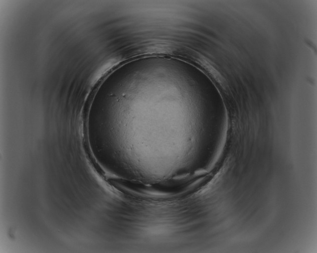 X0000093441034200710121329