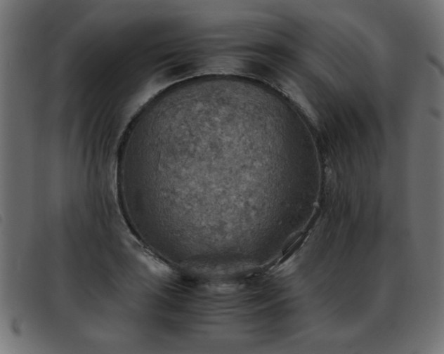 X0000093441035200710121329