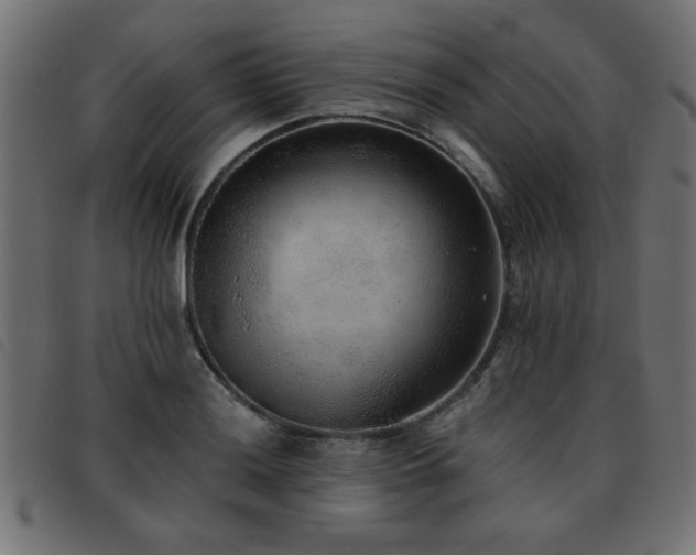 X0000093441036200710121329