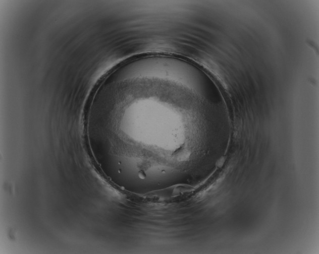 X0000093441037200710121329
