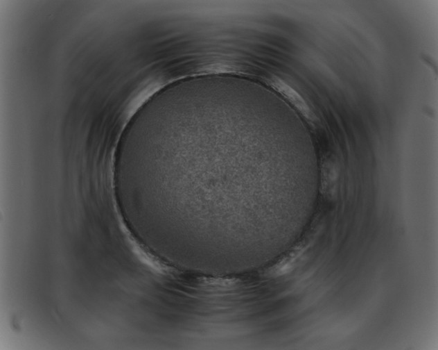 X0000093441039200710121329
