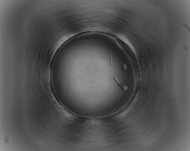 X0000093441040200710121329