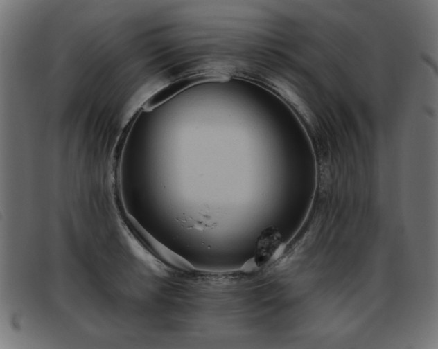 X0000093441042200710121329