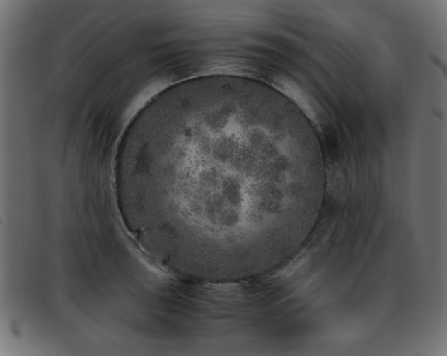 X0000093441043200710121329