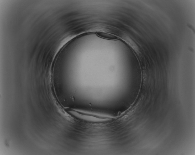X0000093441044200710121329