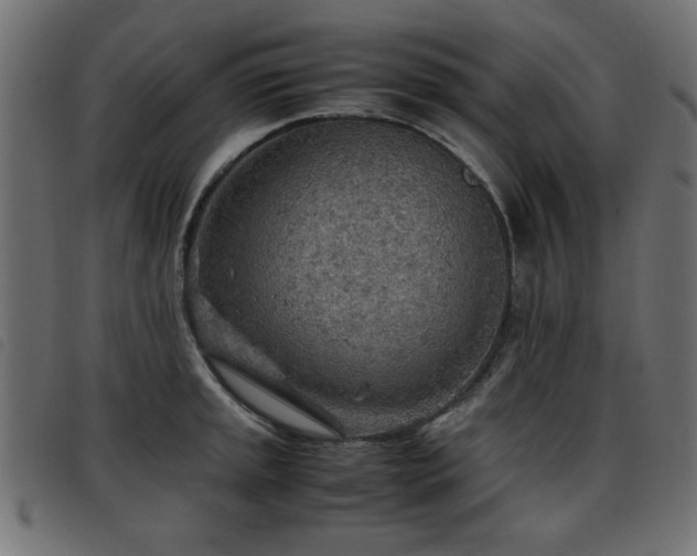 X0000093441045200710121329