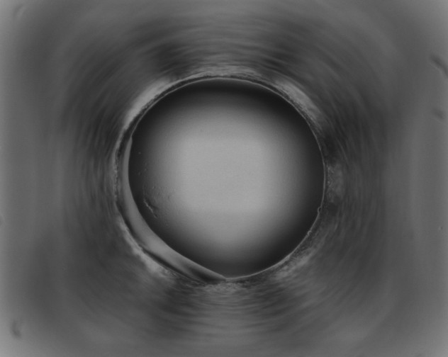 X0000093441046200710121329