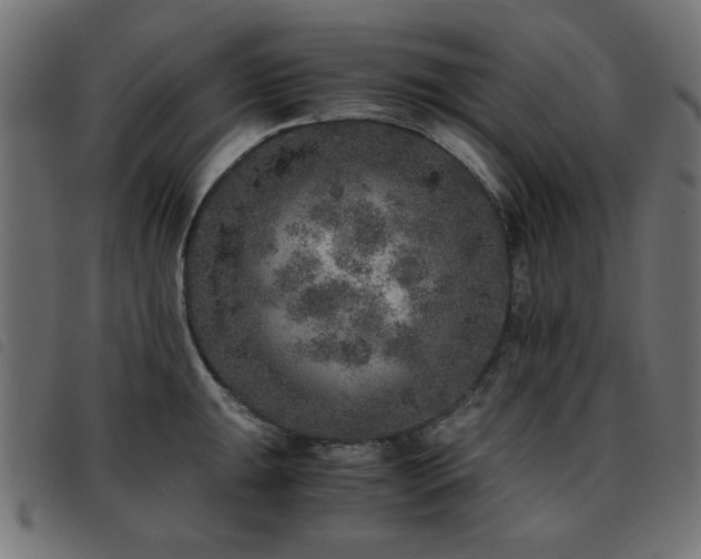 X0000093441047200710121329