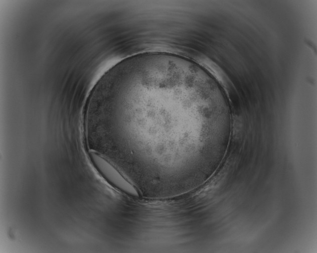 X0000093441048200710121329