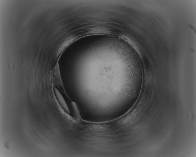 X0000093441049200710121329