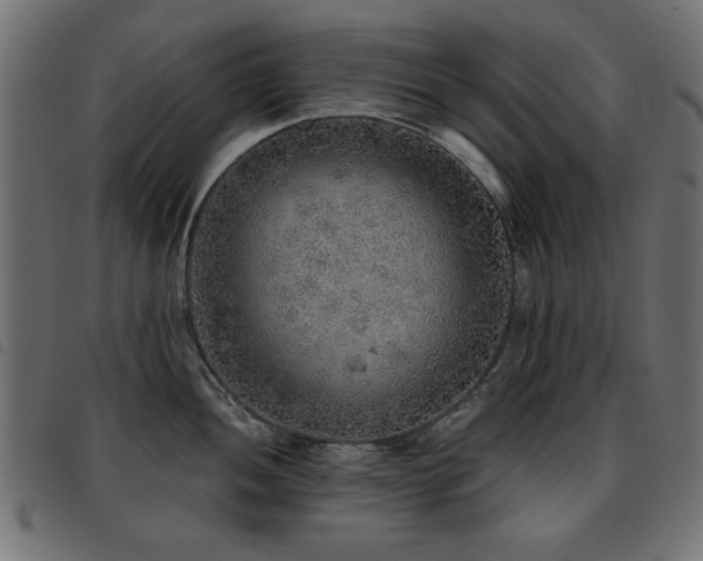X0000093441052200710121329