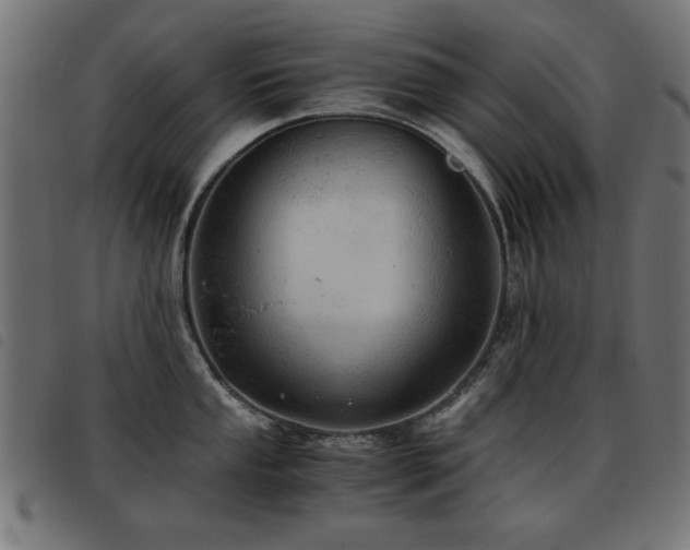 X0000093441053200710121329