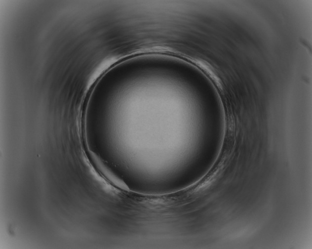 X0000093441054200710121329