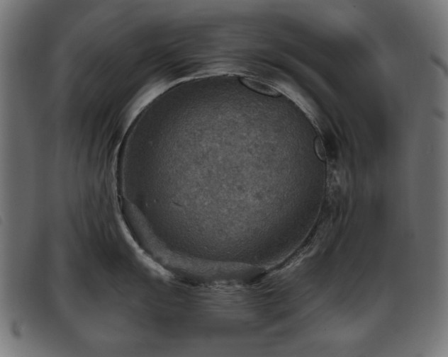 X0000093441055200710121329