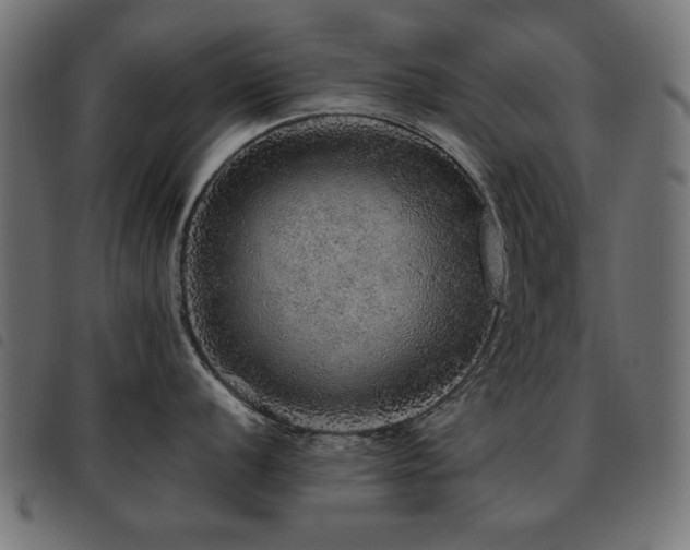 X0000093441056200710121329