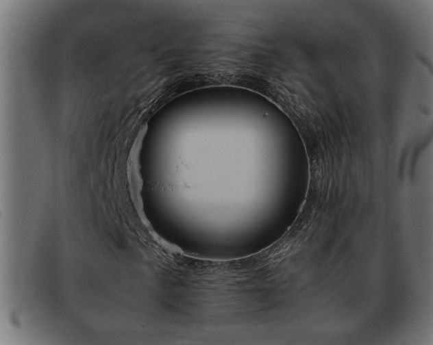 X0000093441057200710121328