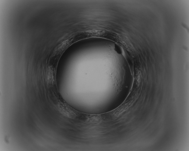 X0000093441058200710121328