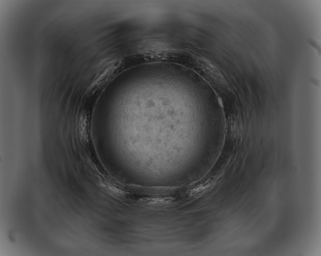 X0000093441060200710121328