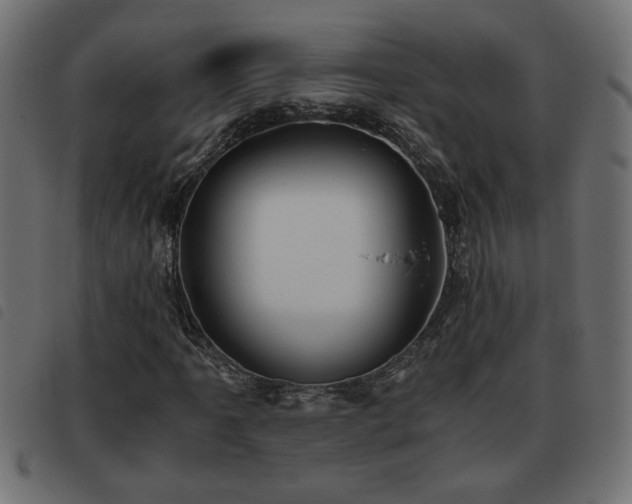 X0000093441061200710121328