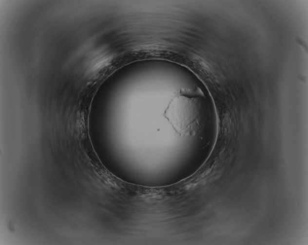 X0000093441062200710121328