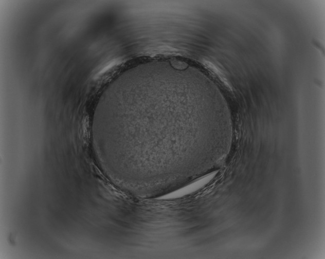 X0000093441063200710121328